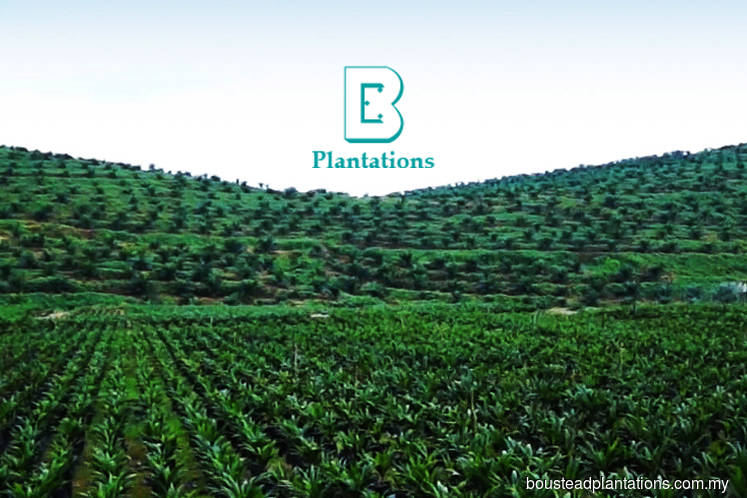 boustead plantations sees cpo price to average rm