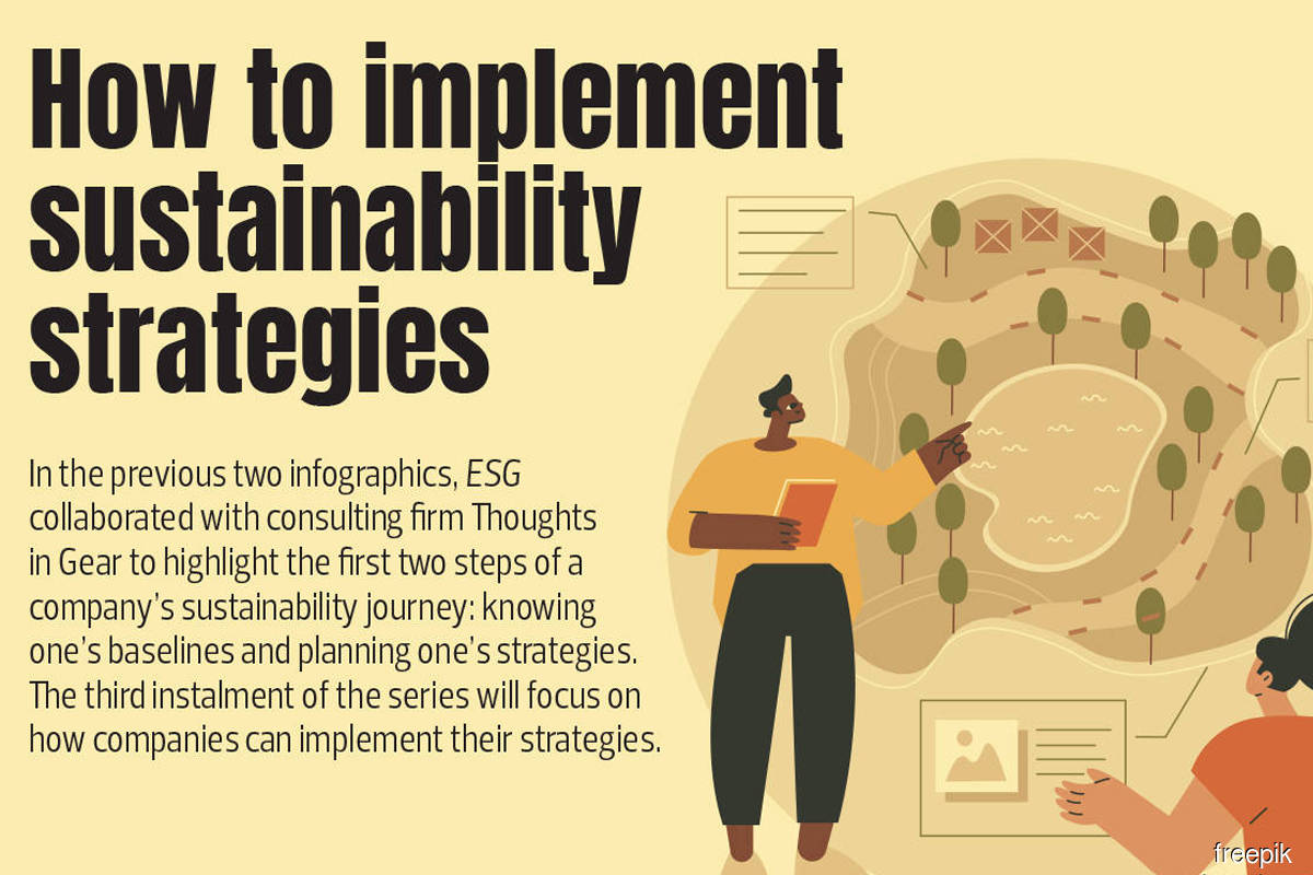 How To Implement Sustainability Strategies