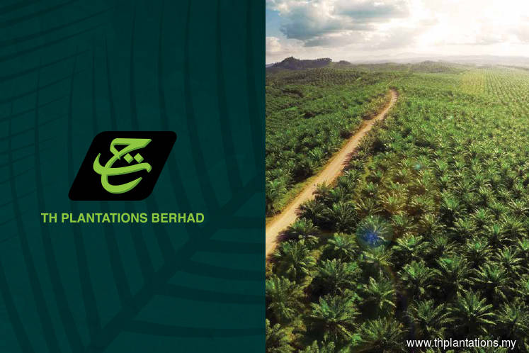 th plantations reports loss-making 3q on lower cpo and palm