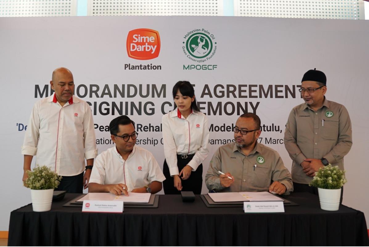 Sime Darby Plantation To Restore 50 Hectare Peat Land In Sarawak Klse Screener 