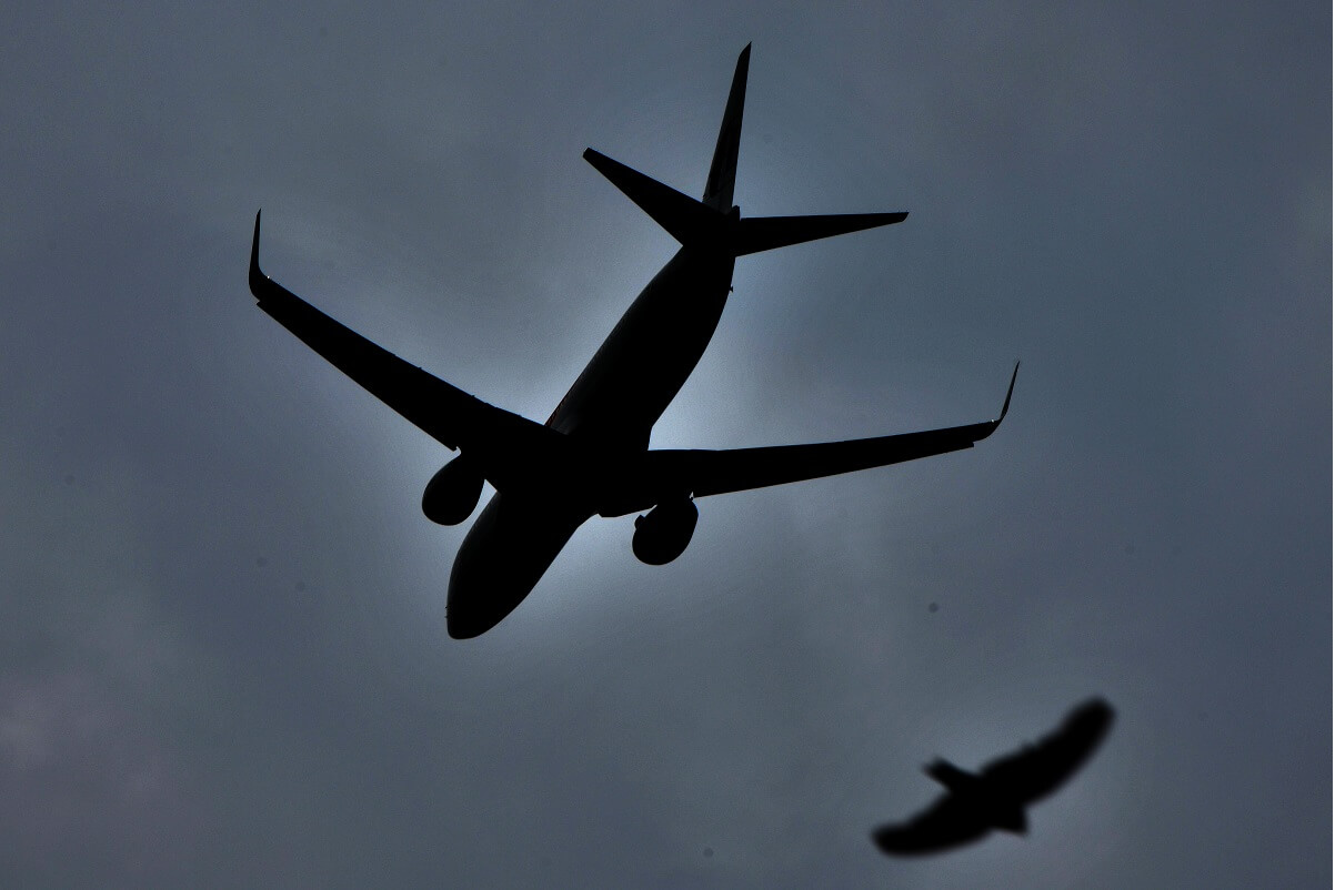Air Ticket Prices To Sabah Sarawak Will Return To Normal Says Deputy Minister The Edge Markets