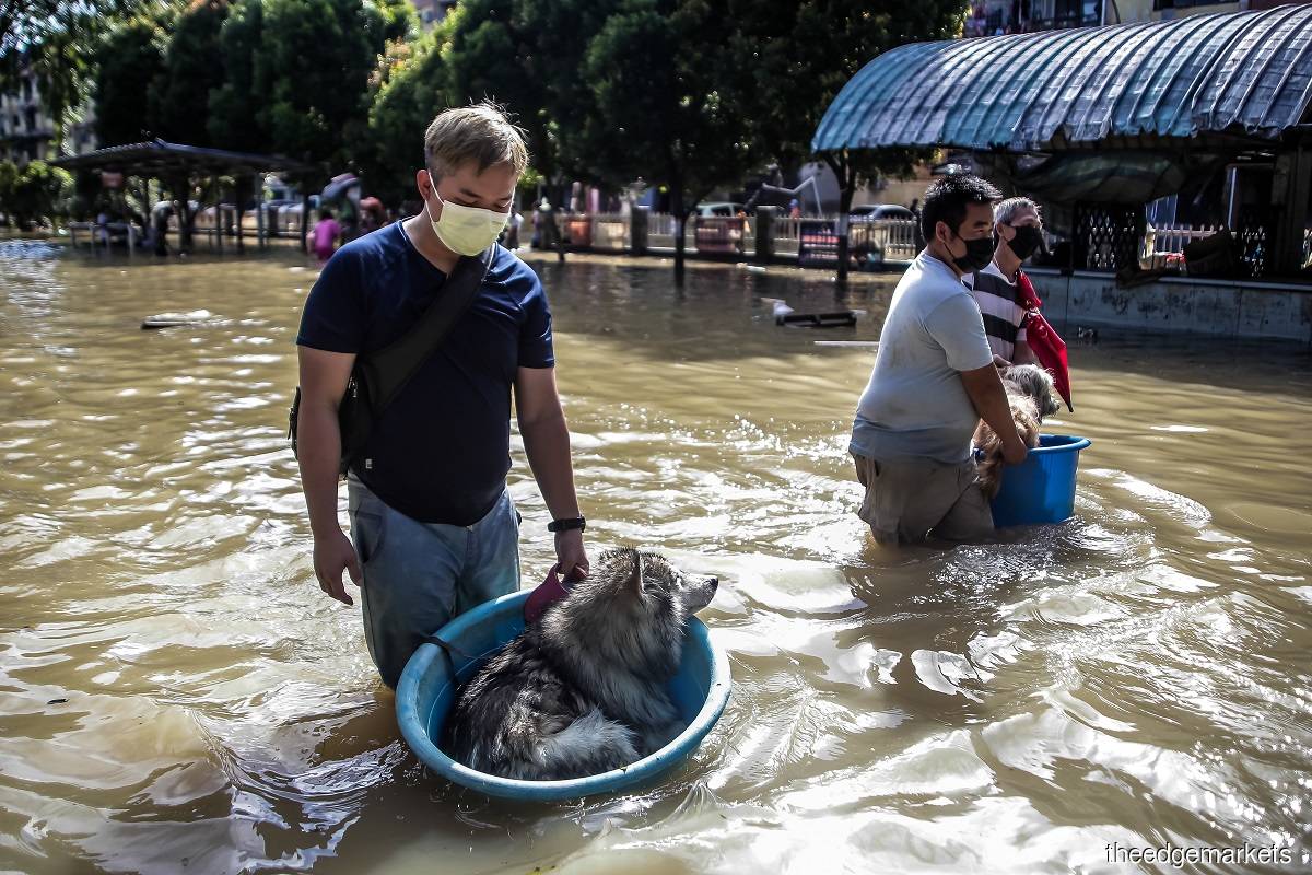 Floods: Over 45,000 victims still at 290 relief centres in seven states | The Edge Markets