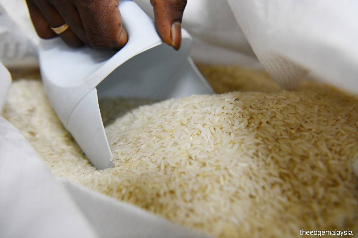 部长：政府准备审查现有稻米系统重组 – The Edge Malaysia