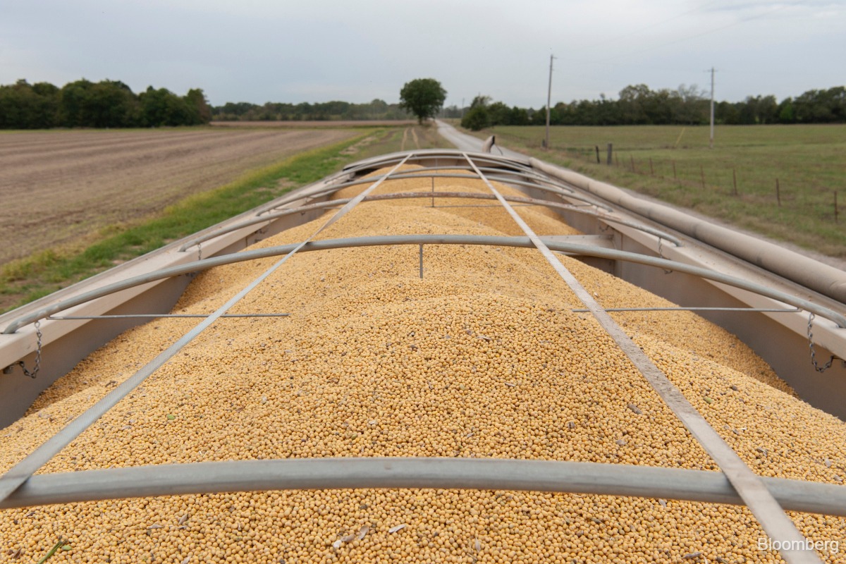 US Soybean Futures Rally to Three‑Year Peak After EPA Biofuel Exemption Deal