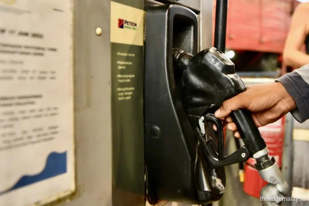 Govt taking pragmatic approach on fuel subsidies amid ongoing West Asia conflict &mdash; economist