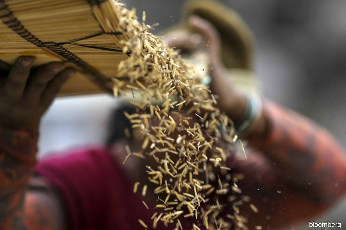 India foodgrain subsidy bill to surge 30% to US$33 bil this year — source