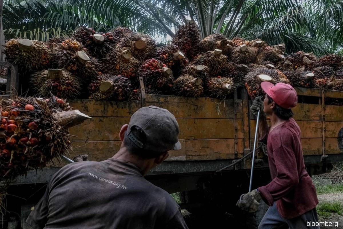 Temasek-backed Godrej to expand oil palm plantations