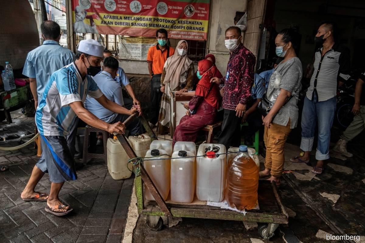 Palm oil climbs as Indonesia considers raising biodiesel mandate