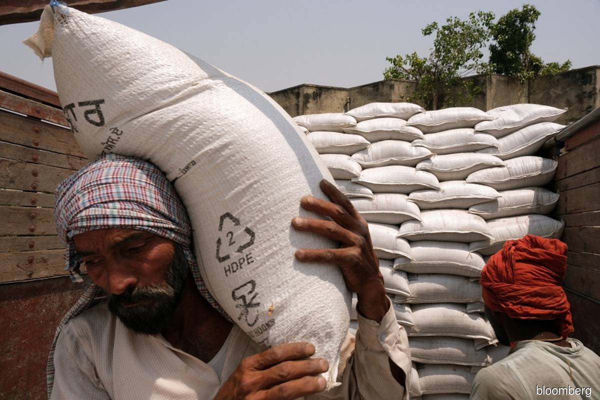 India could scrap wheat import duty to cool domestic prices, say sources
