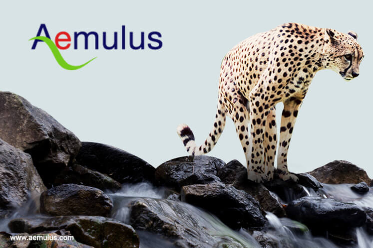 Aemulus wants to return to the black