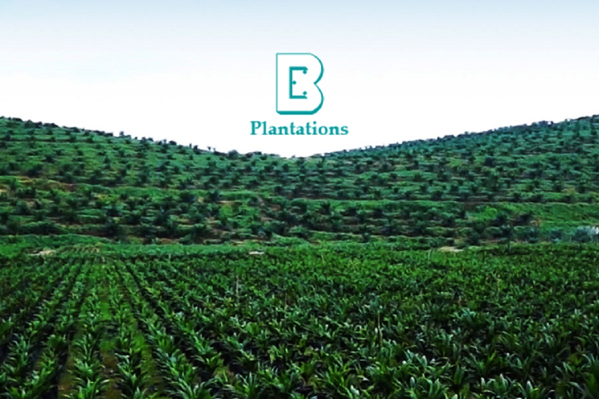 Boustead Plantations posts profitable 4Q, thanks to higher palm product prices 