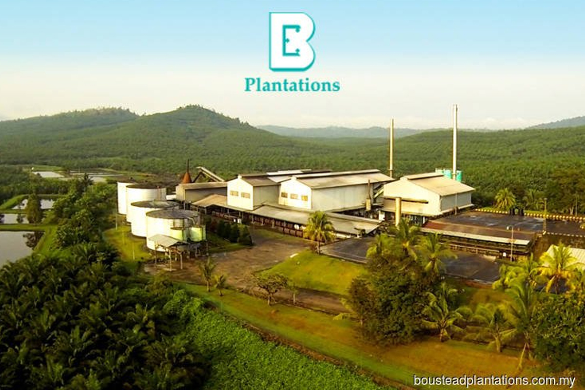 Boustead Plantations issues RFP for estates in Sarawak
