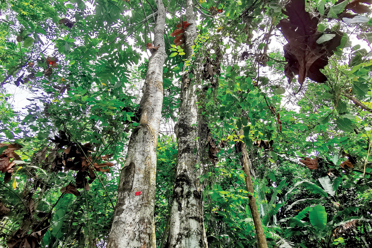 Cover Story: Where nature shapes the future
