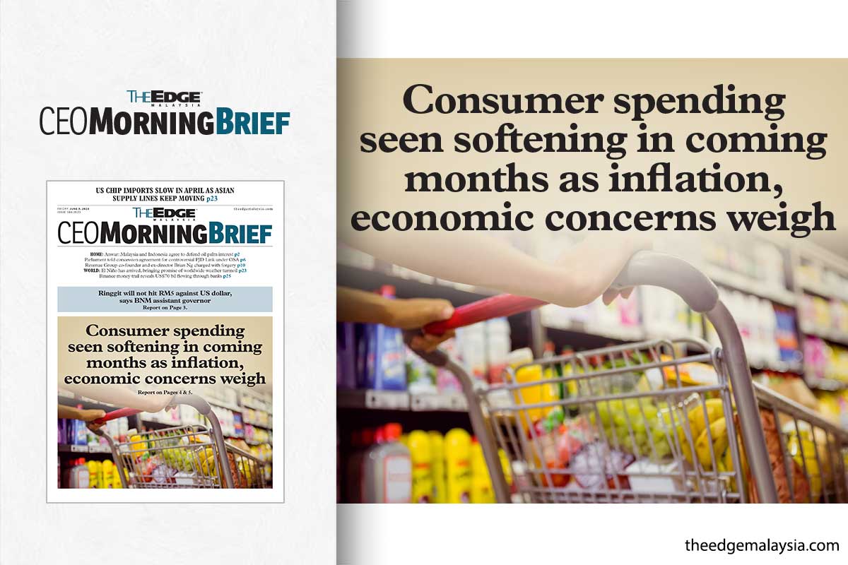 Consumer spending seen softening in coming months as inflation, economic concerns weigh
