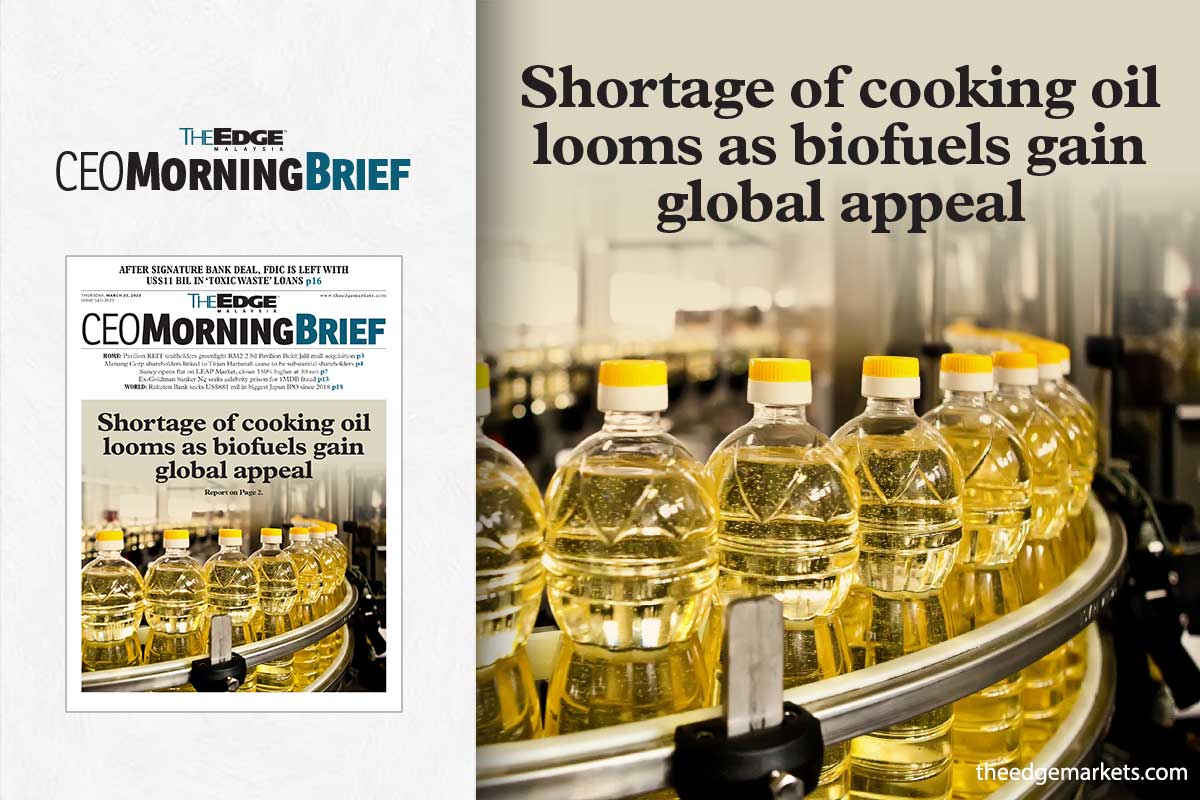Shortage of cooking oil looms as biofuels gain global appeal