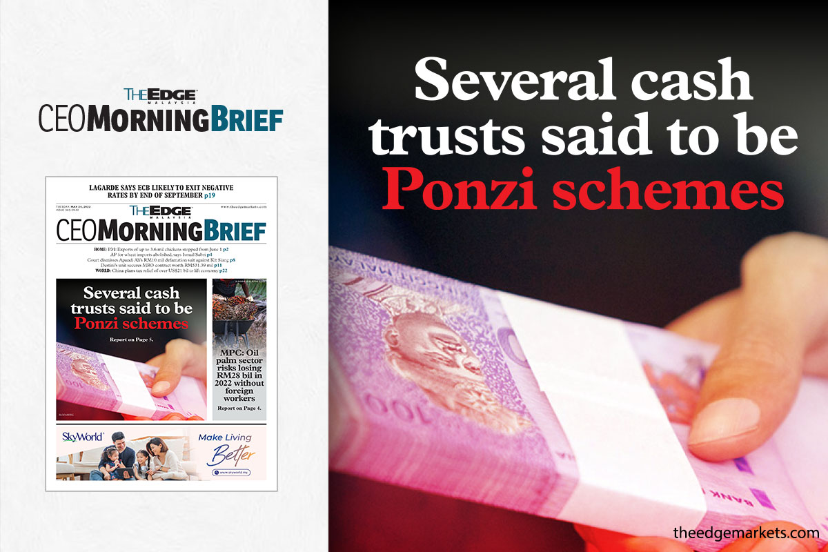 Several cash trusts said to be Ponzi schemes