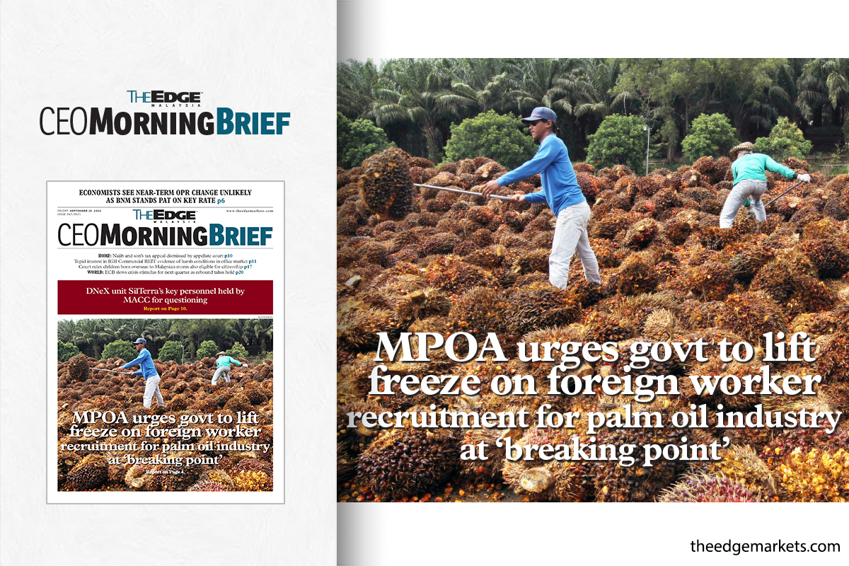 MPOA urges govt to lift freeze on foreign worker recruitment for palm oil industry at 'breaking point'