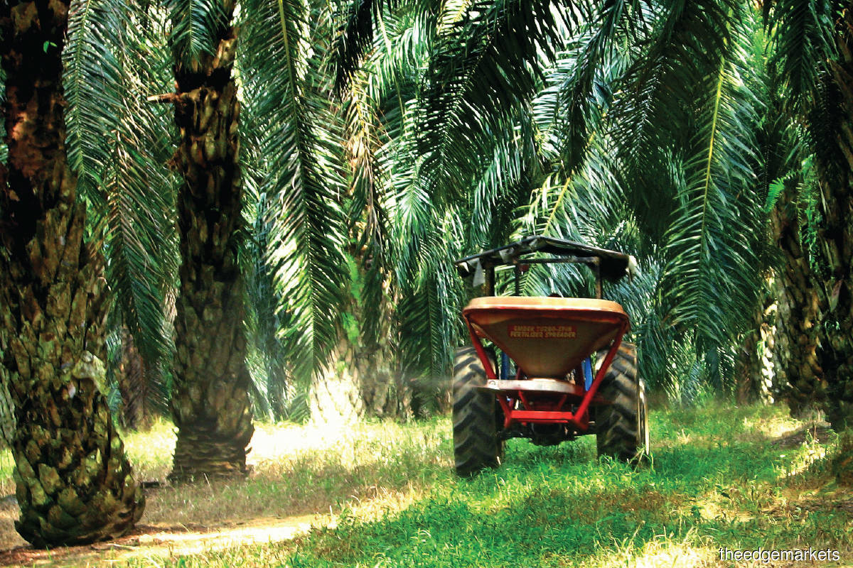 Cover Story: Questions over FELDA's plans for FGV - Vimarsana News