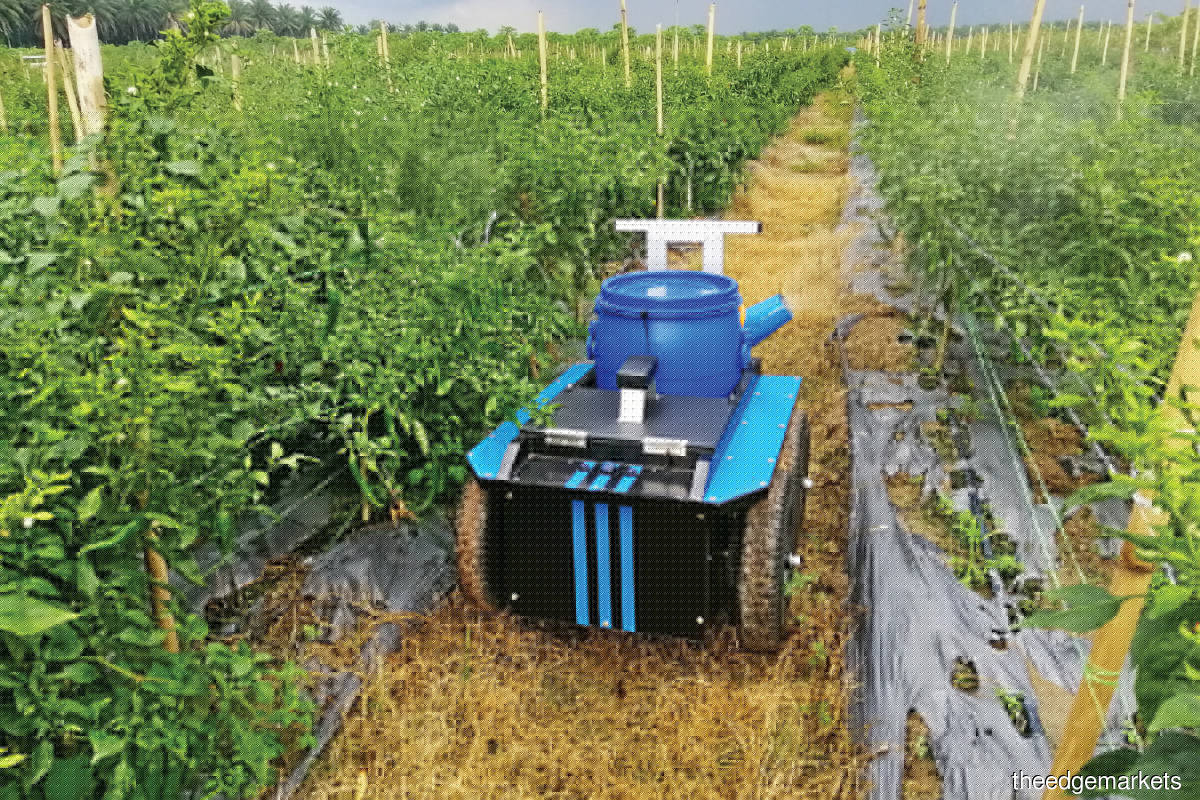 NTIS participant Farmotic has invented lightweight robots to work on farms
