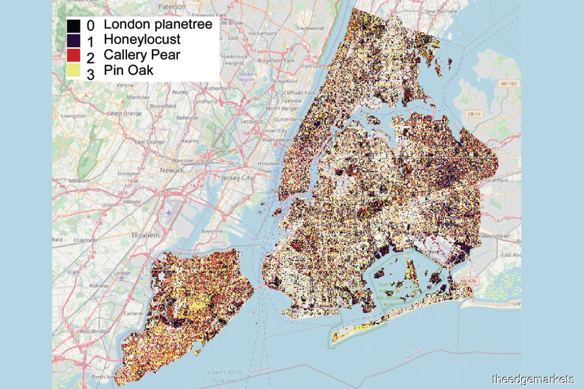 IBM used PAIRS to map out the types of trees in Manhattan and quantify the carbon sequestered by these trees