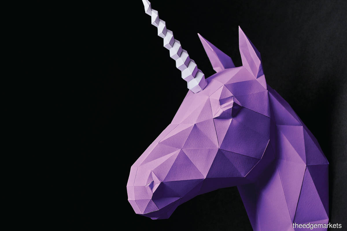 Cover Story: In search of unicorns