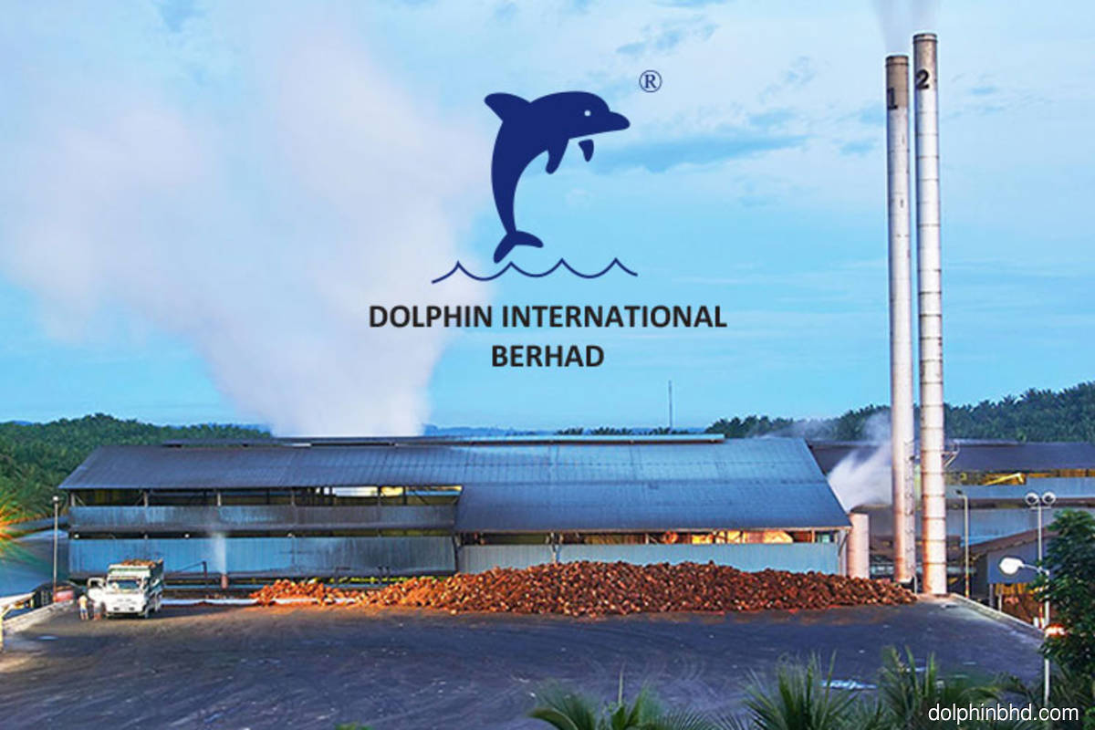 Dolphin International proposes second share placement in eight months to raise RM24m