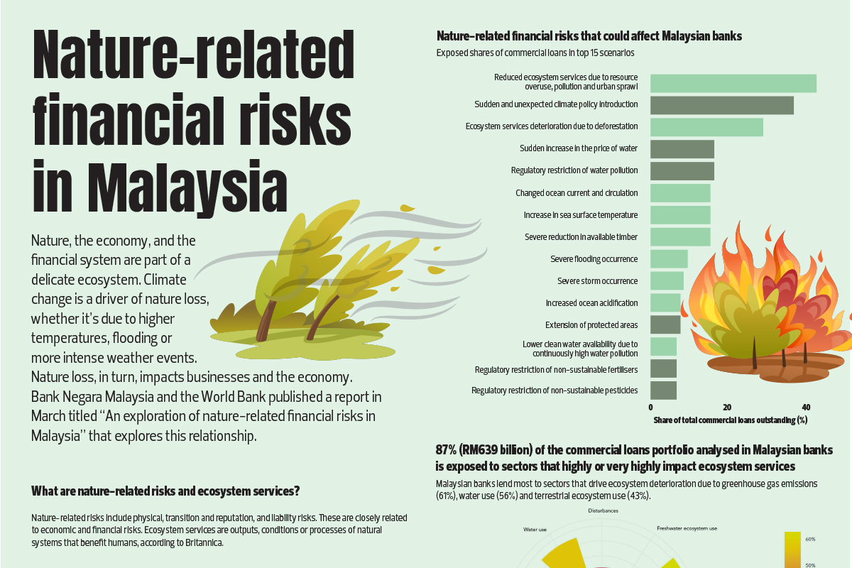 Nature-related financial risks in Malaysia