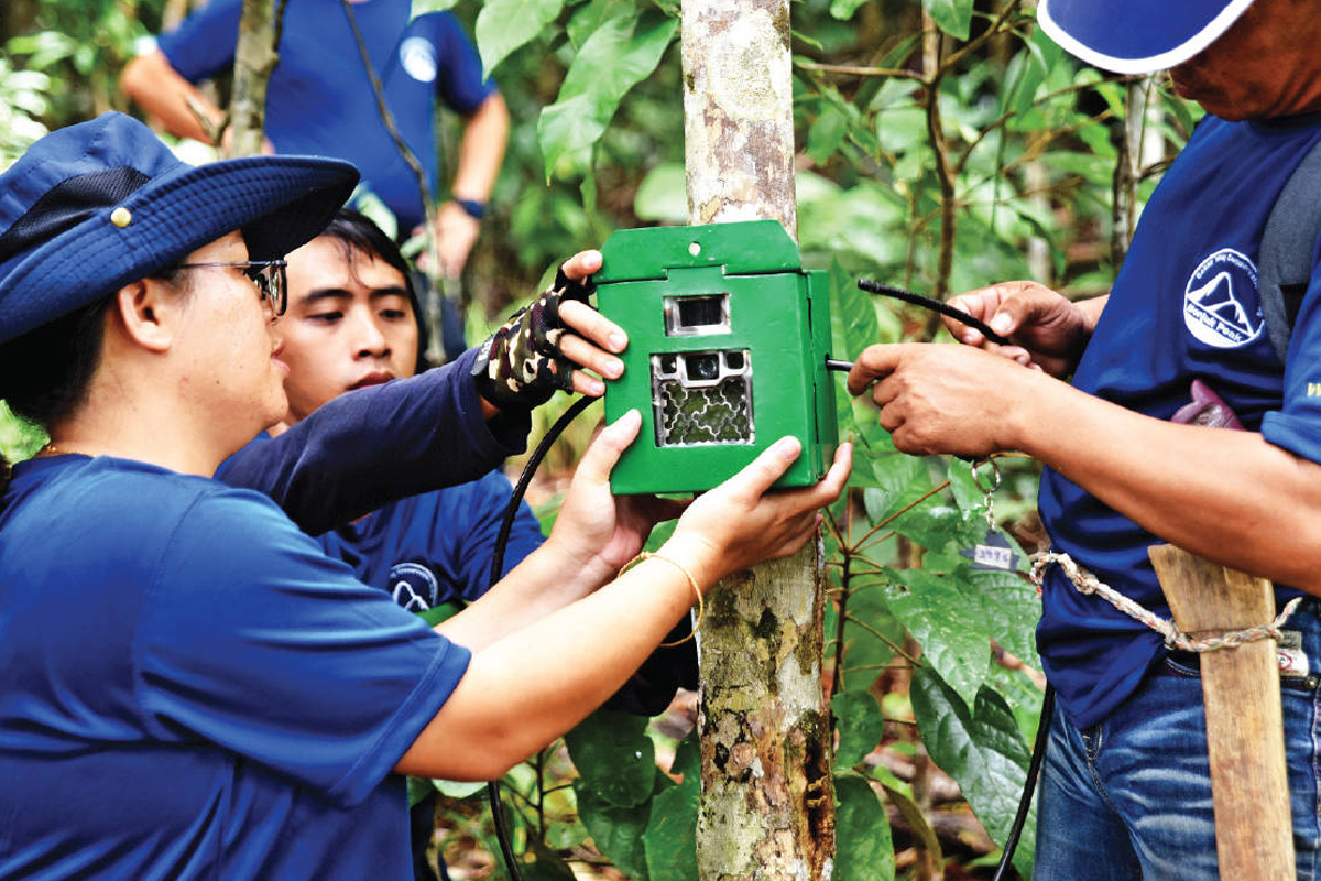 Conservation: Restoring Biodiversity In Oil Palm Plantations