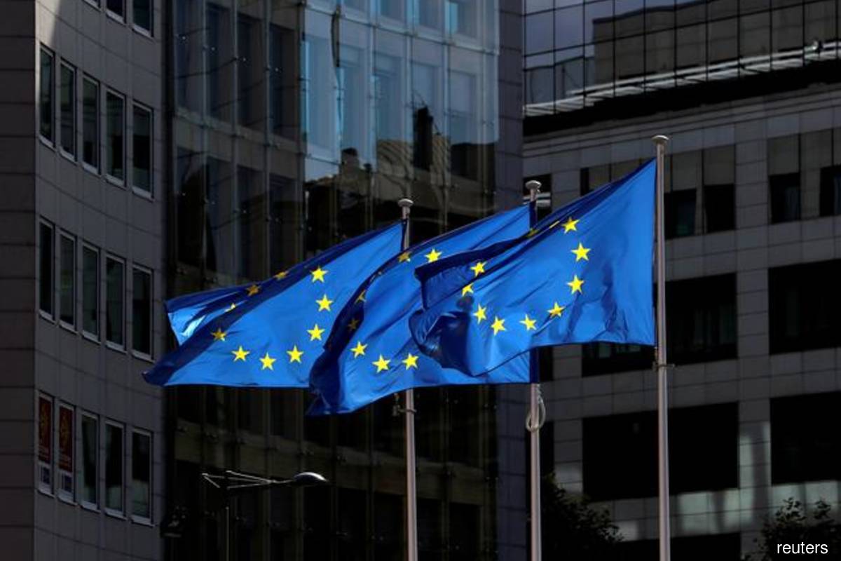 EU targets online platforms after Wall Street short squeeze