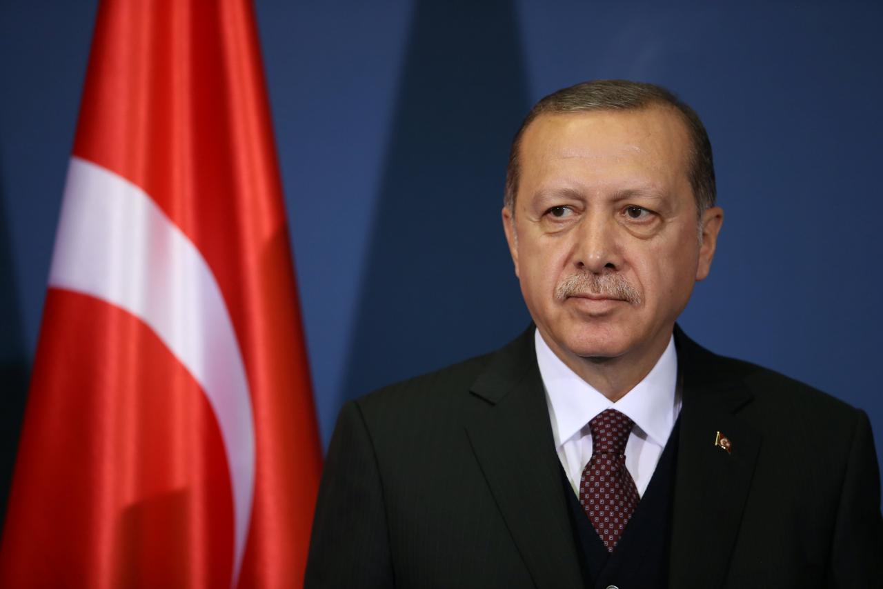 Türkiye President Erdogan congratulates Anwar on PM appointment - The Edge Markets (Picture 1)