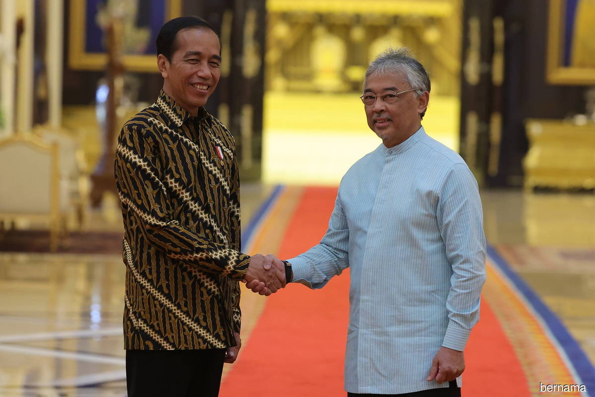 Agong grants audience to Jokowi