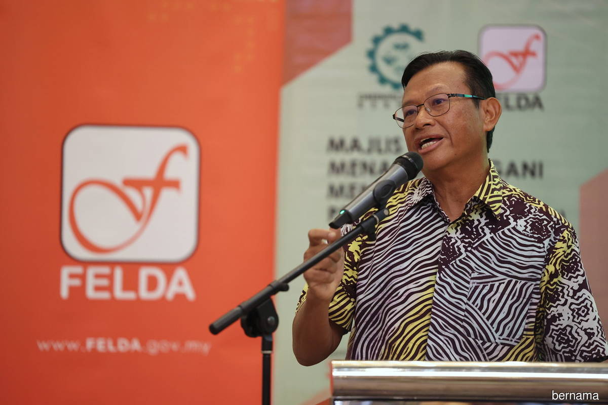 Felda chairman says settlers will have to bear losses if sugar price remains low