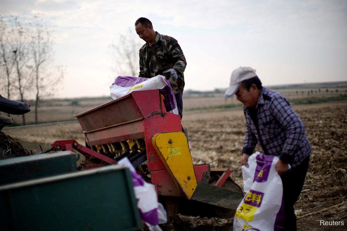 China bans export of fertilisers, further tightening global supply &mdash; Reuters