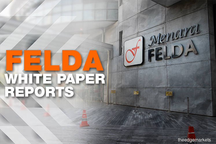 Image result for felda white paper