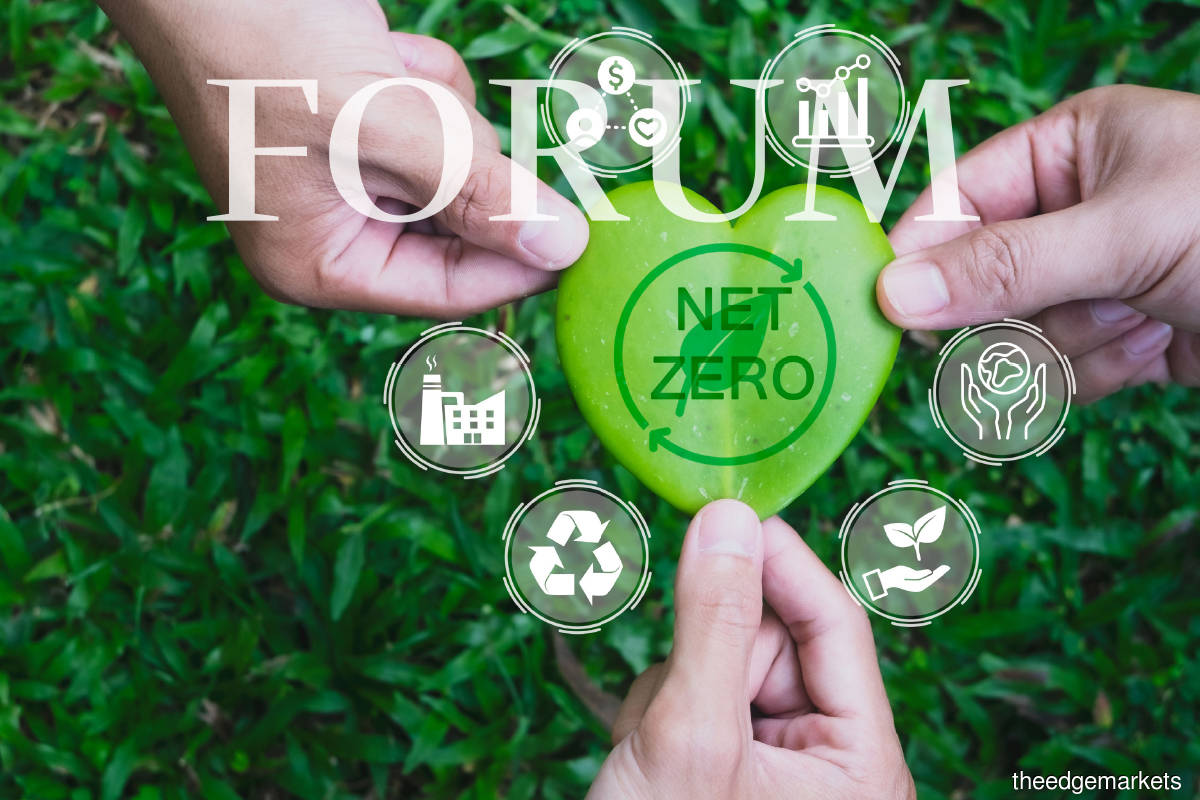 My Say: Managing the net-zero transition
