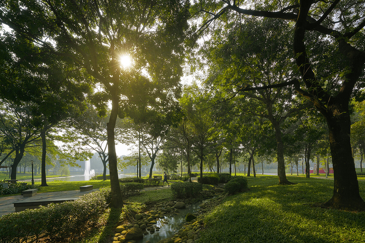 Towards a Green Economy