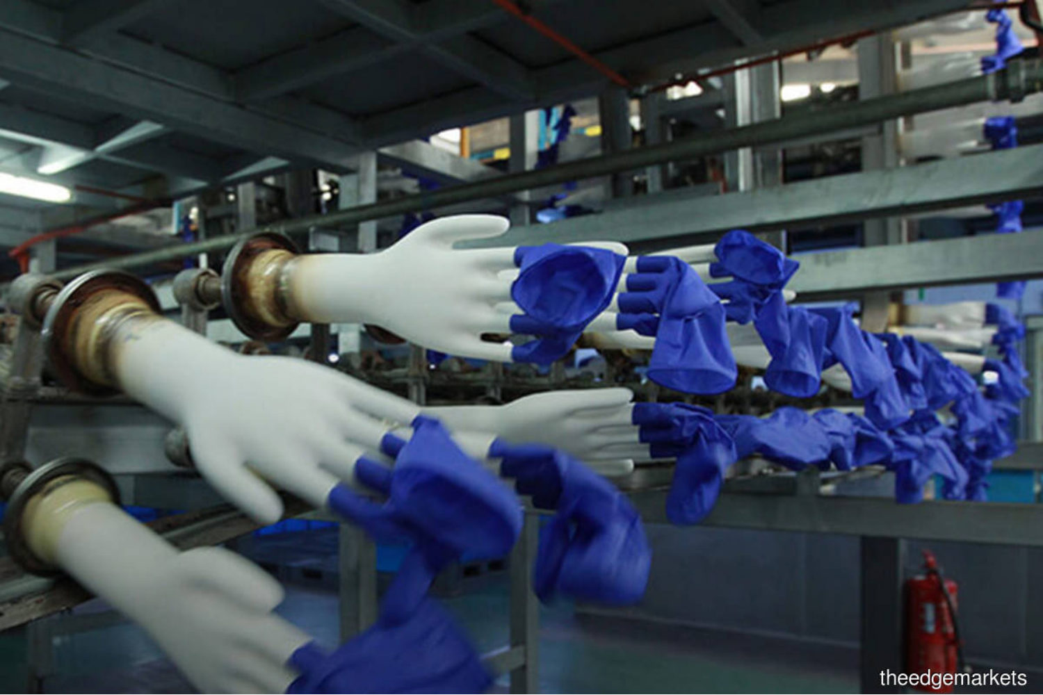 US CBP seizes 4m disposable gloves from Top Glove subsidiary on forced labour suspicions