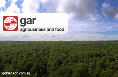 Golden Agri Resources Sees 4q Earnings Double To S 65 Mil On Higher Revenue Forex Gains The Edge Markets