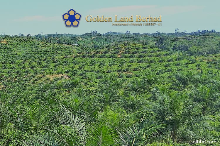 Golden Land Buys Another Plot In East Kalimantan The Edge Markets