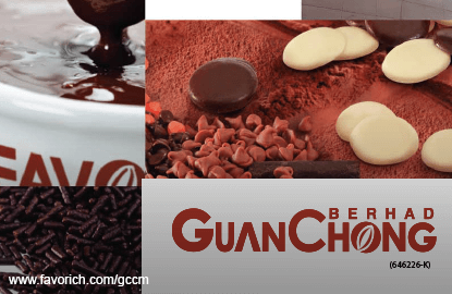Cocoa guan chong GCB cocoa