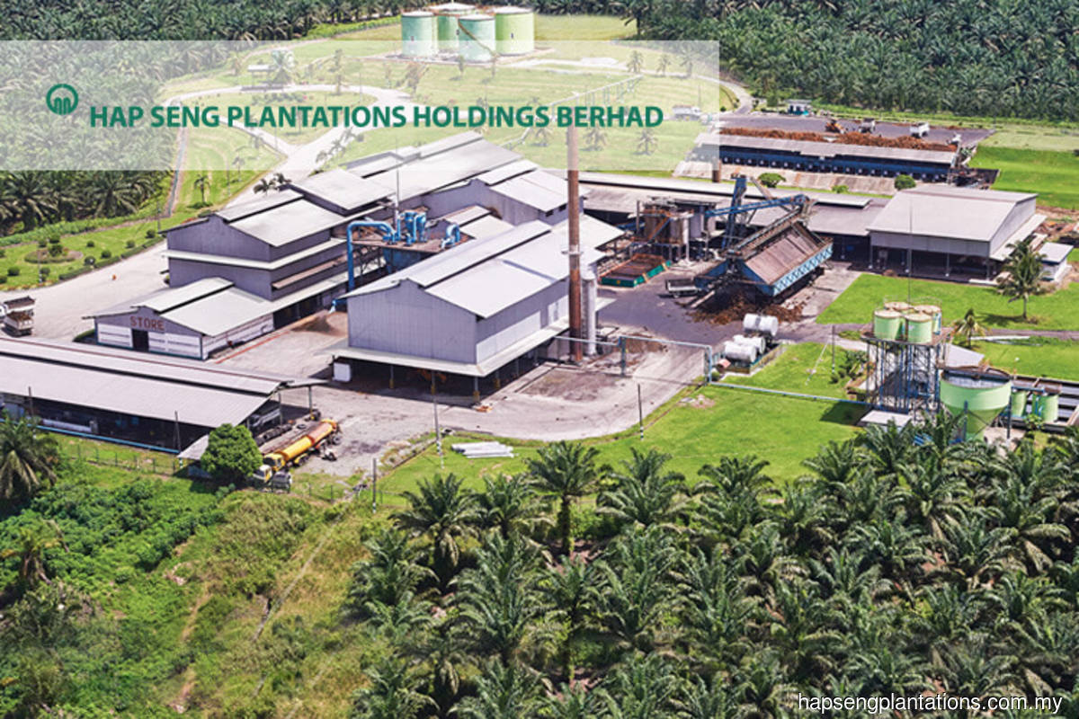 Hap Seng Plantations’ 3Q net profit more than doubles to RM52.93m on higher palm oil prices