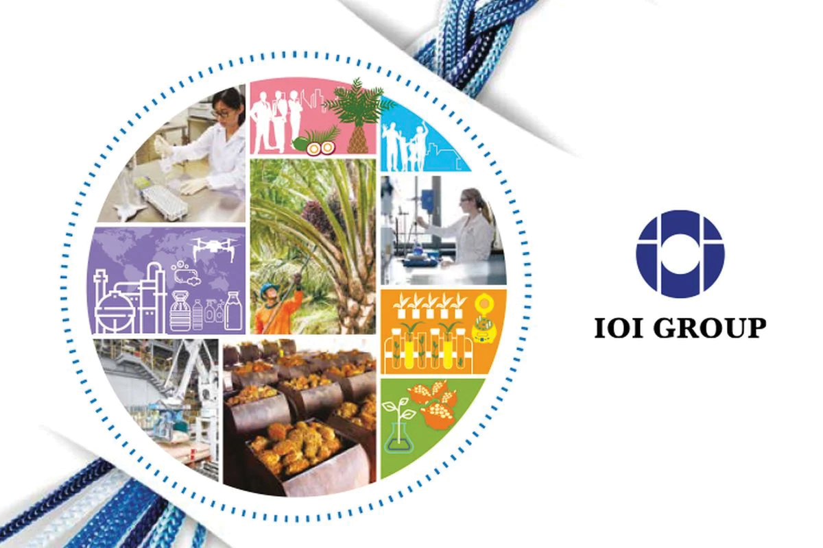 IOI Corp said to be on the lookout for plantation assets 