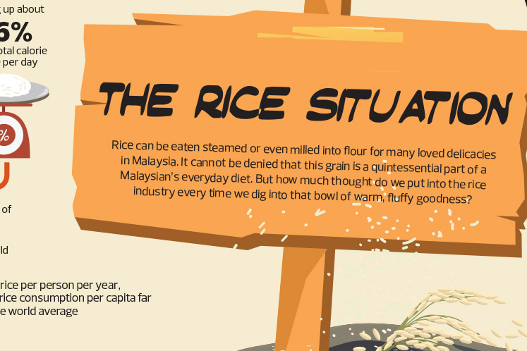 The Rice Situation
