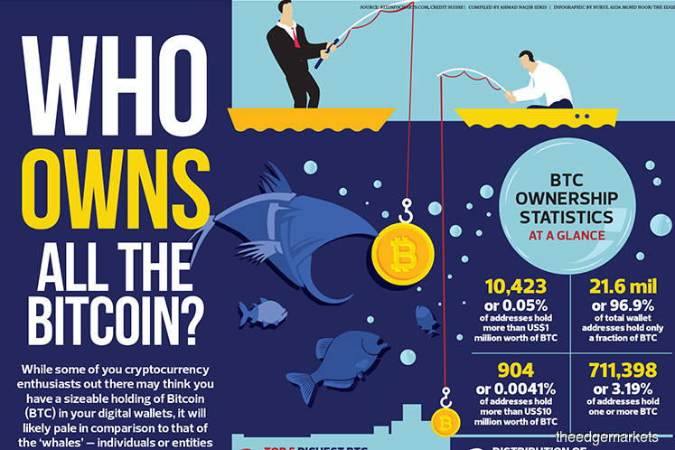 Who owns all the bitcoin?