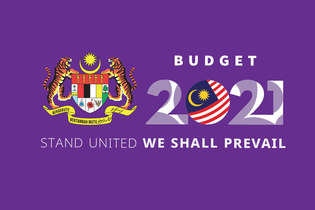 Budget 2021: Stand United We Shall Prevail