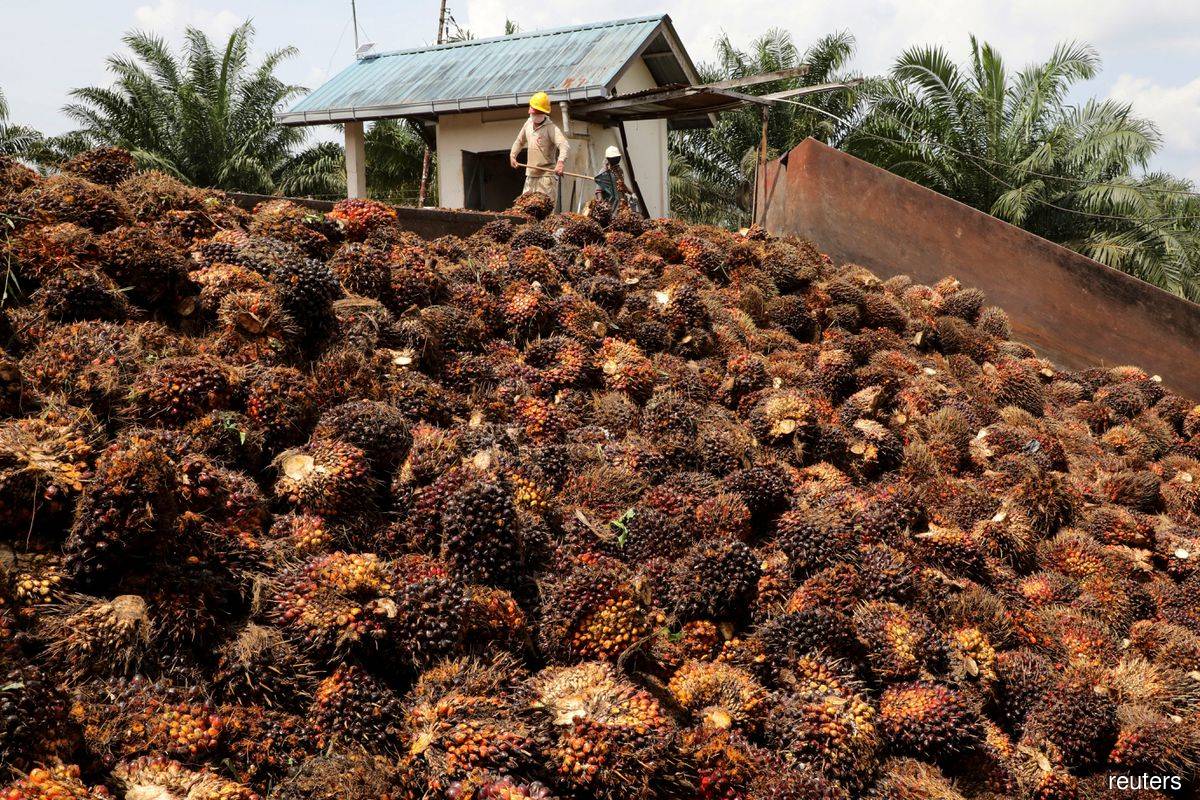 Malaysia end-June palm oil stocks hit 7-month high as exports drop