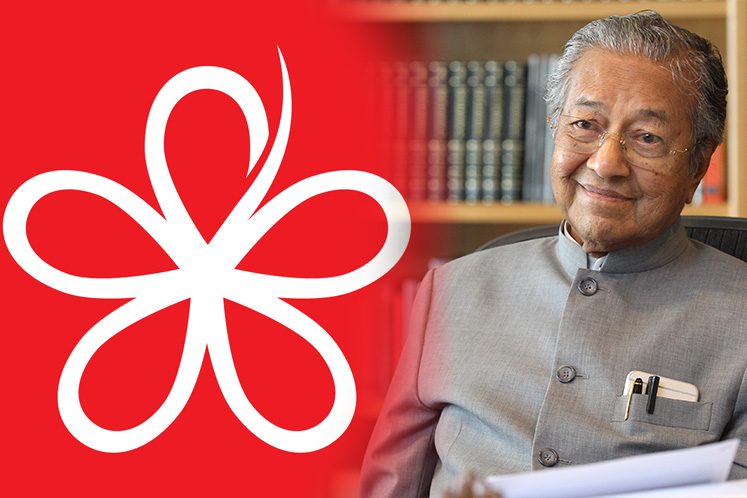 Mahathir wins in Langkawi with 8,893 majority