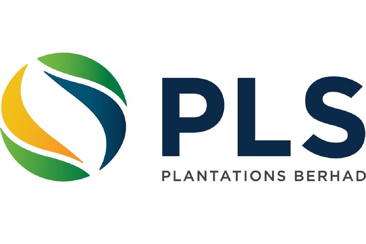 Pls Plantation Share Price