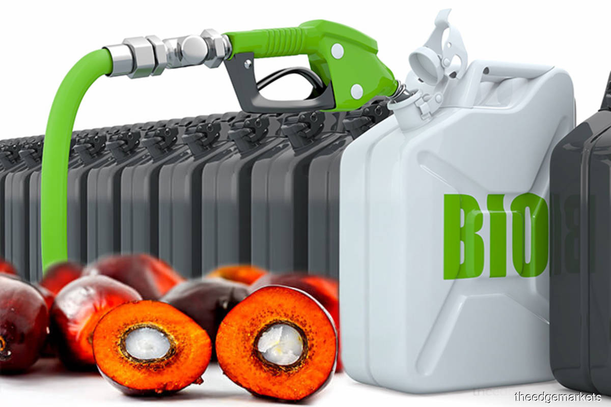 EU sees biofuel consumption fall by 2031, palm oil imports slump