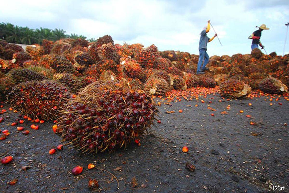 Palm slumps nearly 7% on weaker rival oils